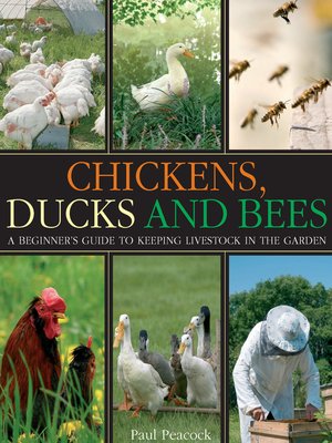 Chickens, Ducks and Bees - ebook